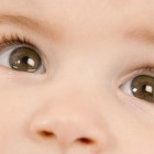 Como calcular a probabilidade da cor dos olhos de um bebê 