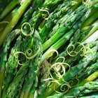 Fresh asparagus