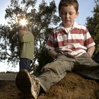 The effects of sibling abuse