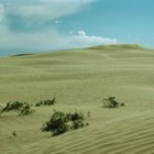 Campamentos en Warren Dunes State Park en Michigan