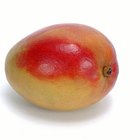 Cómo acelerar el proceso de maduración de los mangos