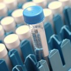 O salário médio de um imunologista