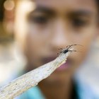 Un repelente de araña seguro para tu bebé