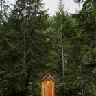 ¿Pueden las arañas estar en tu baño?