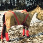 Como fazer capas para cavalos