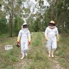 Como fazer uma roupa de apicultor 