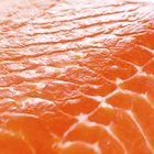 Raw salmon on baking paper