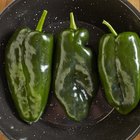 Pasilla chili in Oaxaca market, Mexico