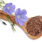 Flax products (powder, seeds, oil)