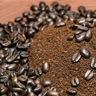 Bowls of uncut and ground coffee beans on blue wooden table
