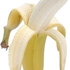 ¿Qué tipo de frutas son las bananas?