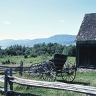 ¿Cuáles son los orígenes de los amish, cuáqueros y menonitas?