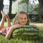 Como amadurecer uma melancia