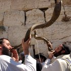 Qué animales se pueden utilizar para fabricar un shofar