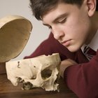 Estilos de aprendizaje en adolescentes