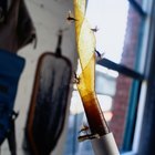 Cómo hacer cinta pegajosa para insectos