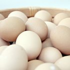 ¿Puedes comer huevos crudos durante la lactancia?