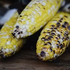 Grilled corn cobs on wooden background