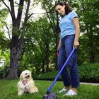 ¿Qué puedo poner en el jardín para controlar el olor de las heces de mi perro?