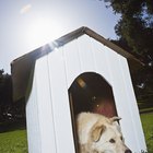 Cómo calentar casas para perros