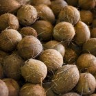 ¿Cuál es la diferencia entre el aceite de coco prensado en frio y el extraído con calor?