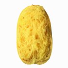 Spaghetti Squash top down view