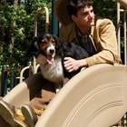 Como fazer um playground para cães
