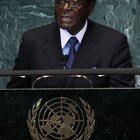 What rights do citizens have in a dictatorship?