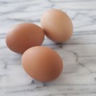 soft-boiled egg in cup