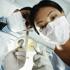 Dentes do juízo: mitos e verdades sobre a retirada dos sisos