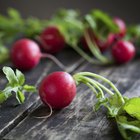 nutrition and diet during pregnancy. Pregnant woman with fruits