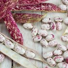 white kidney beans in a brown pot macro and bread