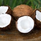 Coconut - close-up texture