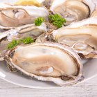 Oysters with ice and lemon