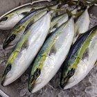 Fresh white fish fillets on chopping board