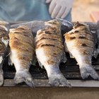 Fresh fish on grill.