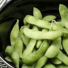 Dry red adzuki beans, macro, selective focus