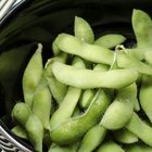 Green Organic Edamame with sea salt