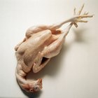 Cómo escaldar un pollo antes de eviscerarlo