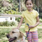 Como remover odor de urina em grama sintética