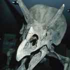 Como fazer um dinossauro com rolos de papel higiênico
