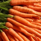 Cómo mantener las zanahorias frescas 