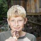 Proyectos para adolescentes: cómo preparar helado casero en bolsas de plástico