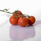 ¿Qué hacer con la antracnosis en los tomates?