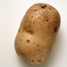 close-up of a baked potato served with sour cream in foil