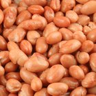 Fresh beans