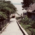 Cómo explorar la jungla del Amazonas
