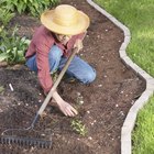 Cómo evitar que la mala hierba crezca en el borde de los canteros de tu jardín