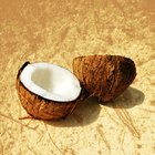 Cómo quitar la cáscara de un coco