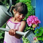 Actividades para niños en tiempos de primavera